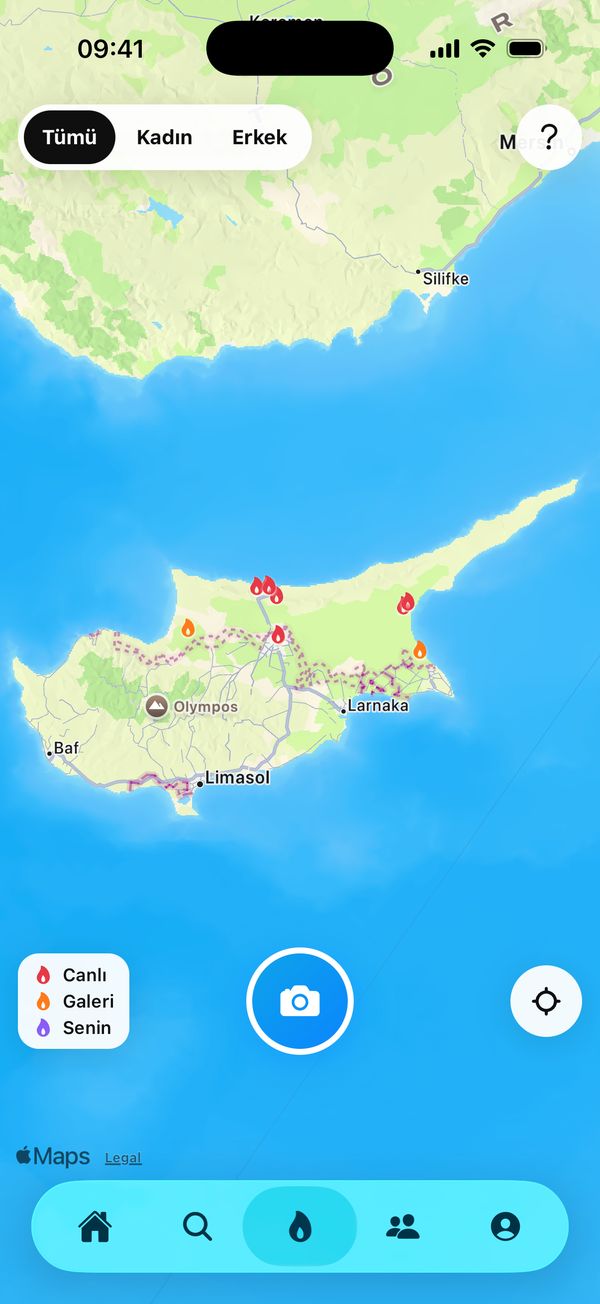 Alev haritası